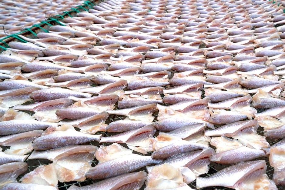Manfaat seafood frozen untuk Menu Harian | IKANQ