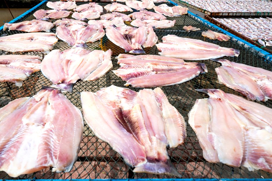 Rekomendasi cumi beku untuk Stok Dapur