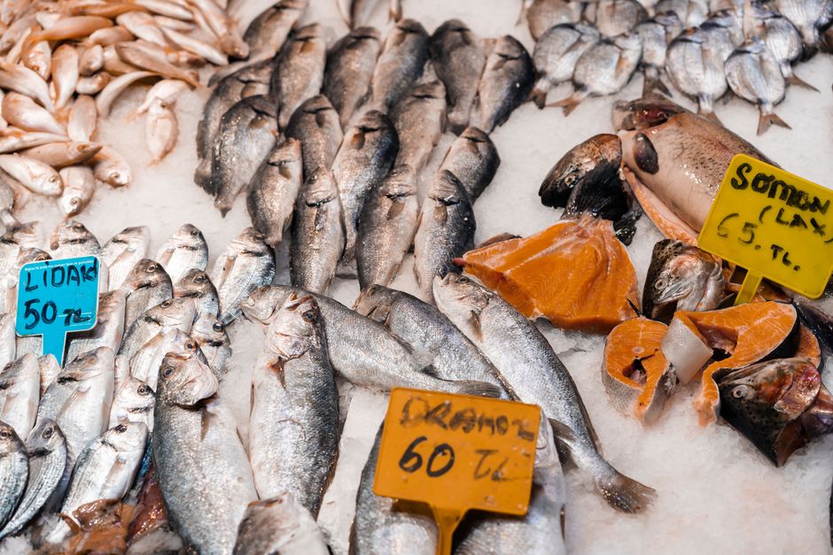 Panduan Memilih seafood beku | IKANQ