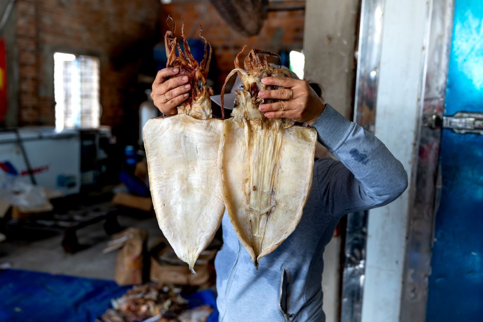 Cara Menyimpan dan Mengolah ikan laut frozen | IKANQ