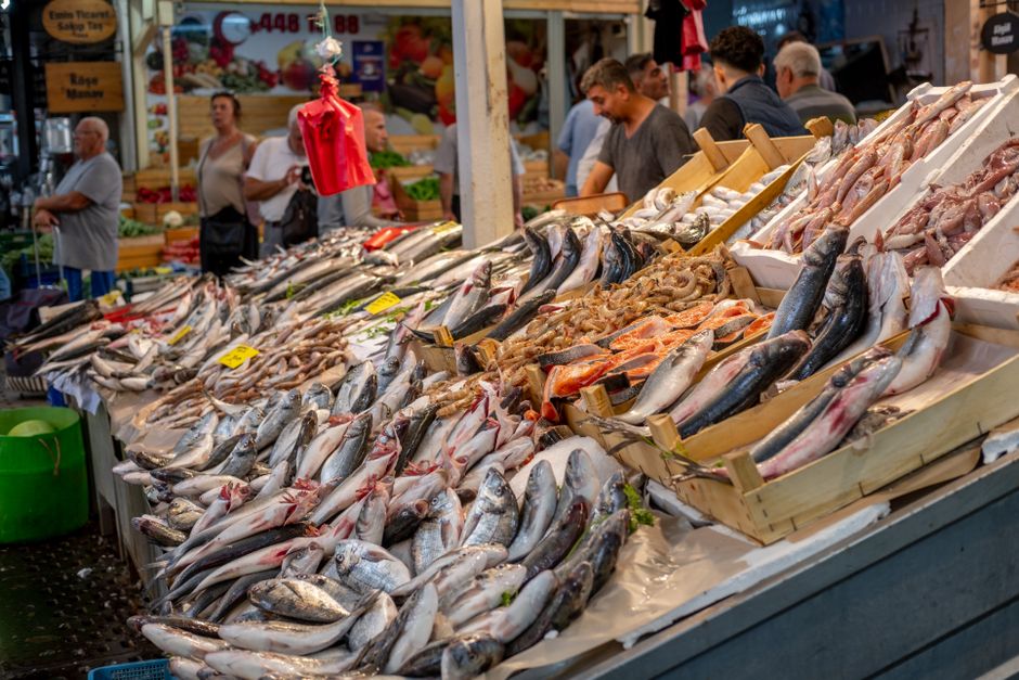 Panduan Memilih seafood beku pamulang
