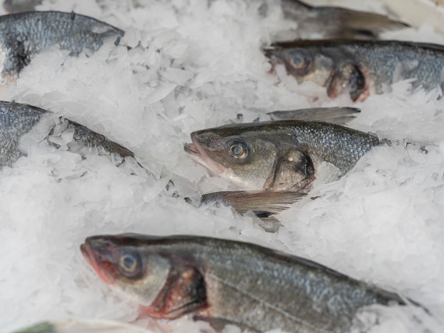 Tips Membeli seafood vacuum pack yang Praktis