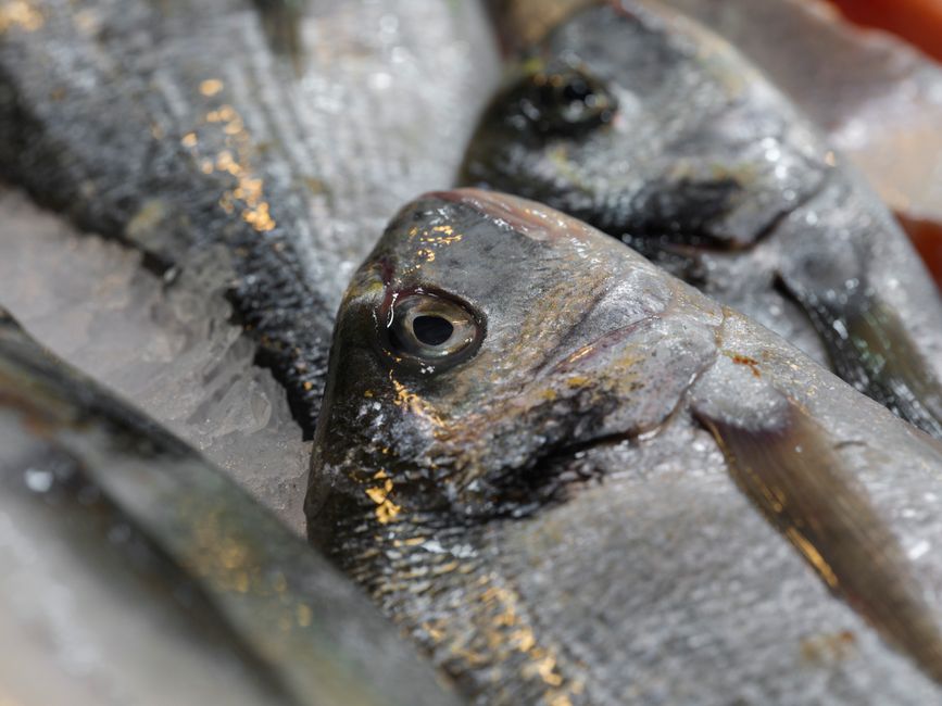 Ide Menu Praktis Menggunakan seafood beku vacuum pack