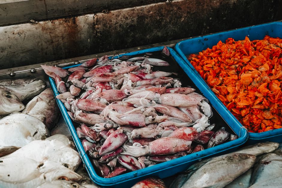 Manfaat udang frozen tangerang selatan untuk Menu Harian