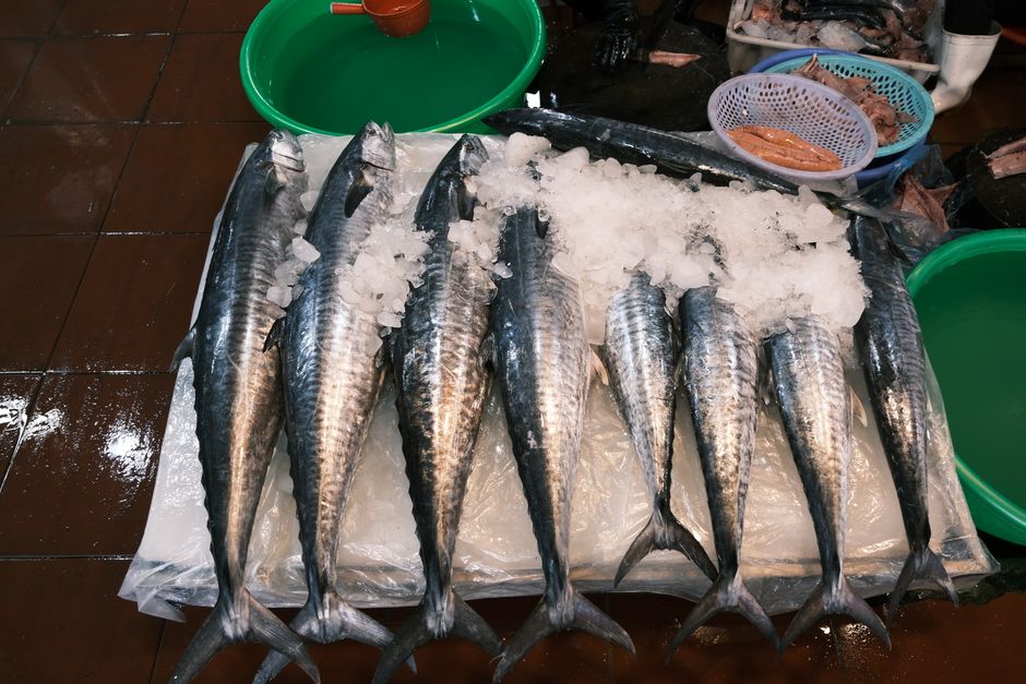 Panduan Memilih frozen seafood | IKANQ