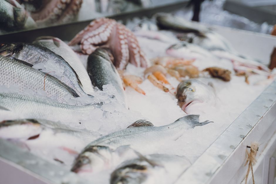Manfaat beli seafood frozen untuk Menu Harian | IKANQ