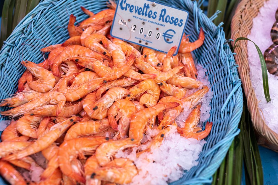 Panduan Memilih udang frozen vacuum pack