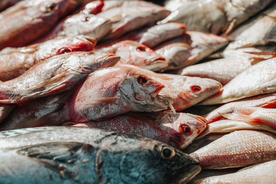 Ide Menu Praktis Menggunakan ikan kakap frozen