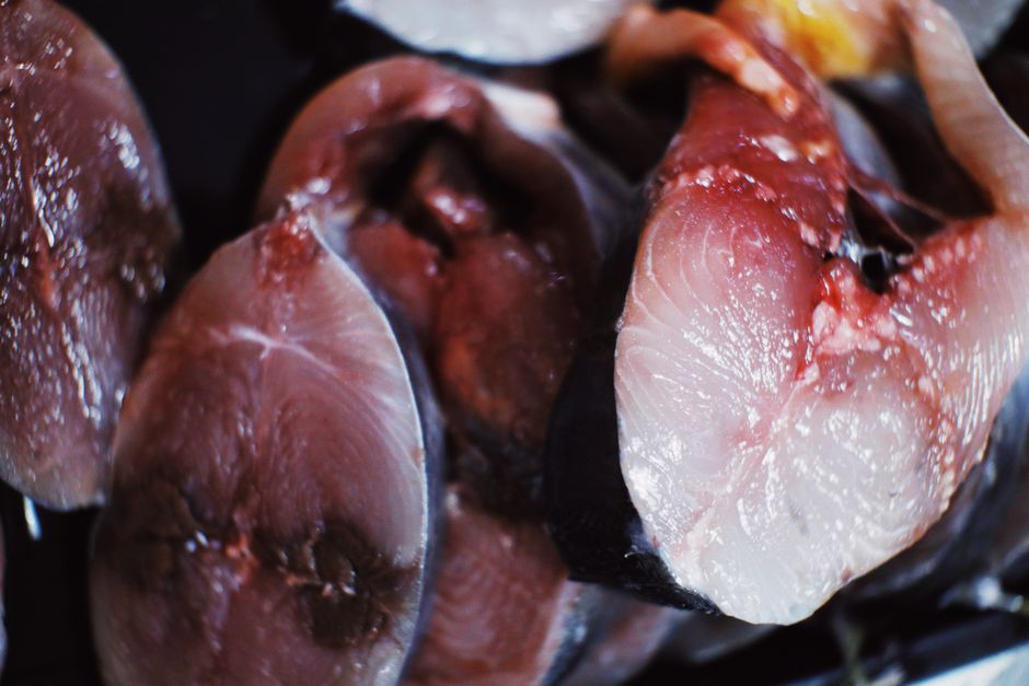 Cara Menyimpan dan Mengolah jual tuna fillet frozen